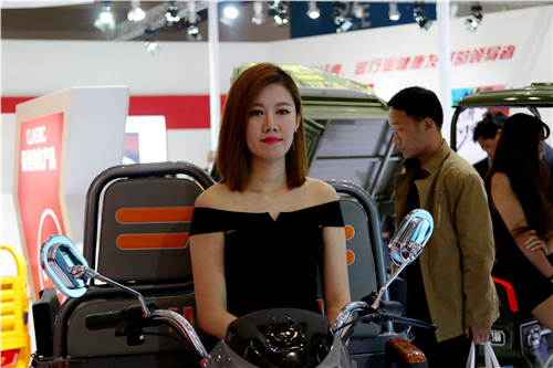 淑女型4.jpg