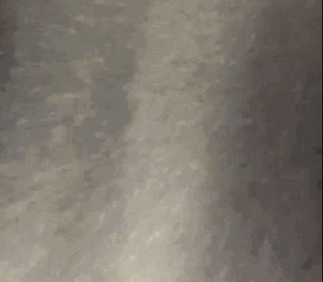 0.gif 0.gif