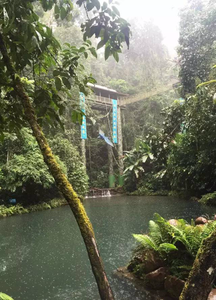 感受热带雨林，探访老挝边境。