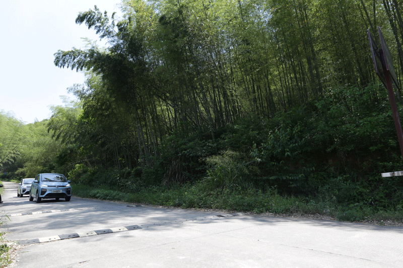 06.gif 06.gif